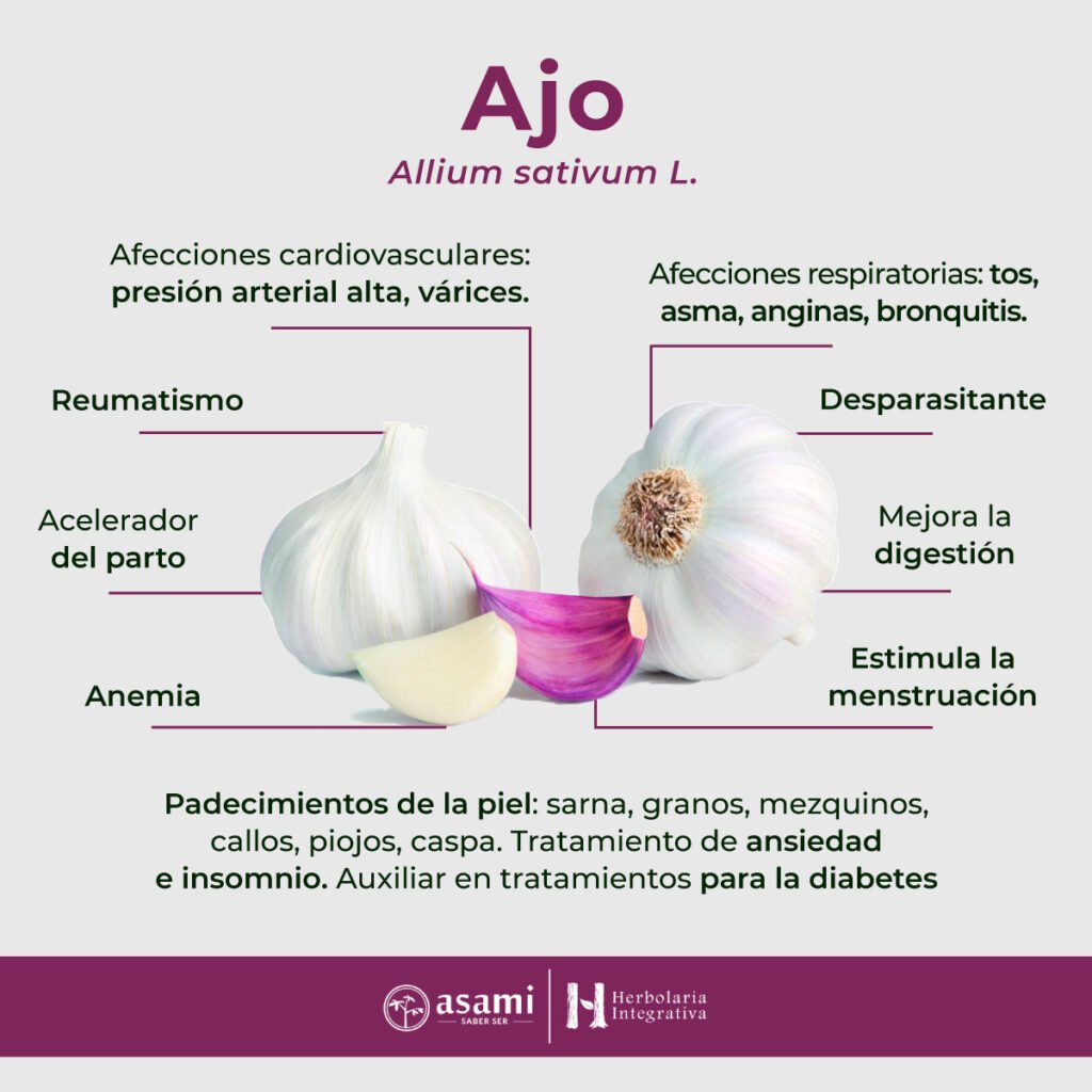 Ajo. Allium sativum L. Presión arterial alta, reumatismo, diabetes, parásitos, sarna, granos, mezquinos, tos, asma, anginas, acelerar el parto, várices, ansiedad, insomnio, anemia, mal de orín, caries, piojos, caspa, promover la menstruación, hidropesía, callos, mejorar la digestión, bronquitis.