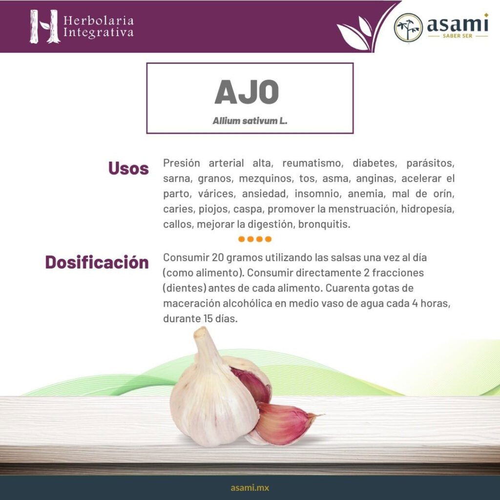 Ajo. Allium sativum L. Propiedades. Ficha Técnica.