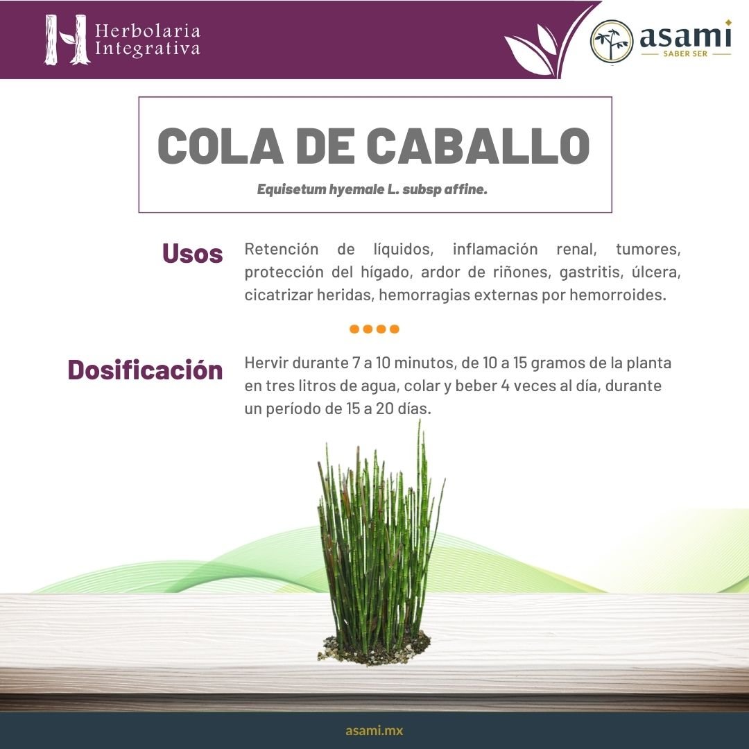 Cola de Caballo. Ficha Técnica.