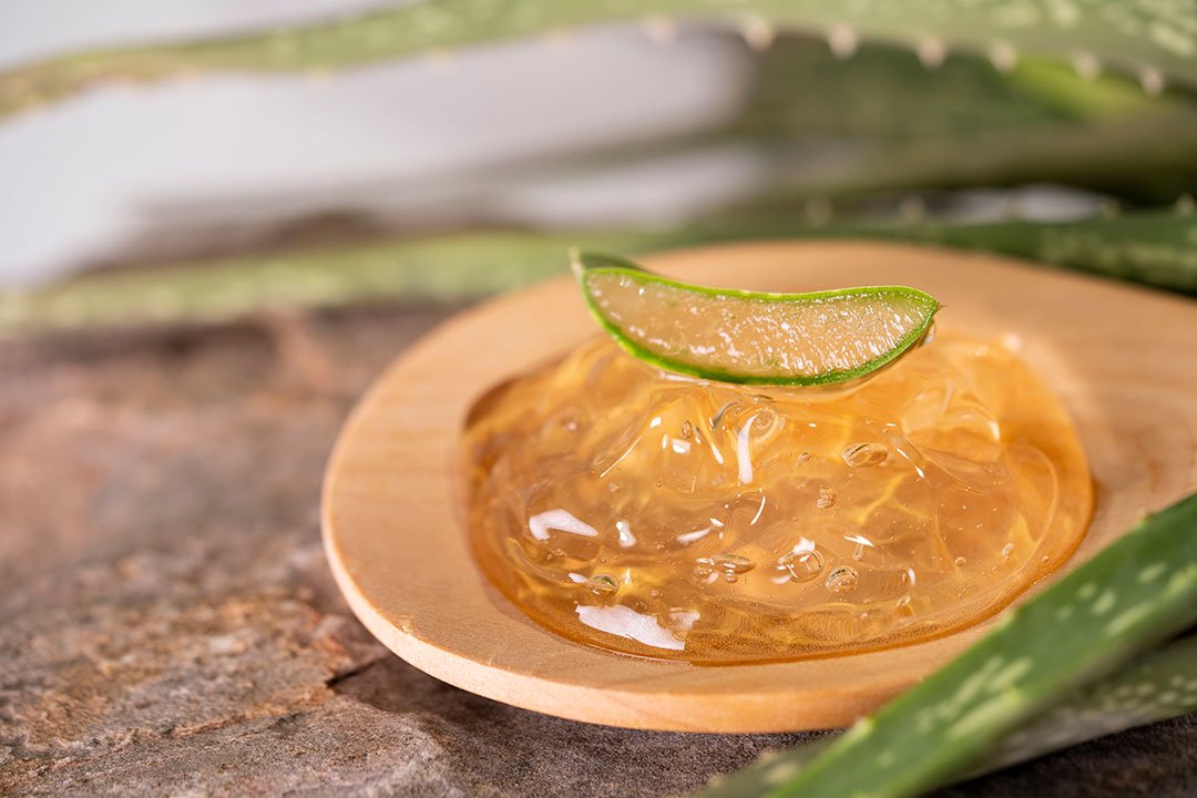 Endulzantes naturales. Miel de Agave como sustituto del azúcar refinado.