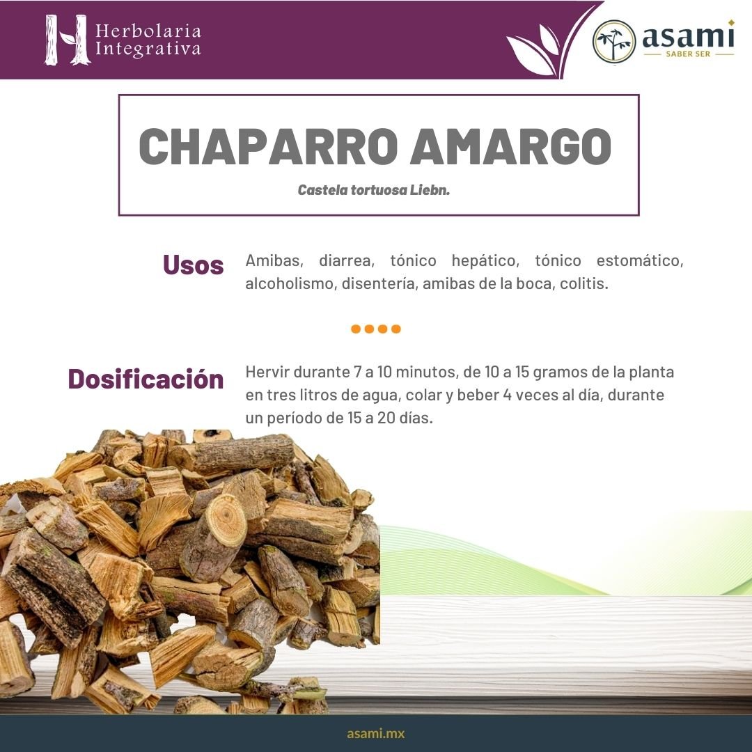 Hierba del Sapo. Planta medicinal para el tratamiento de trastornos digestivos y parasitarios.
