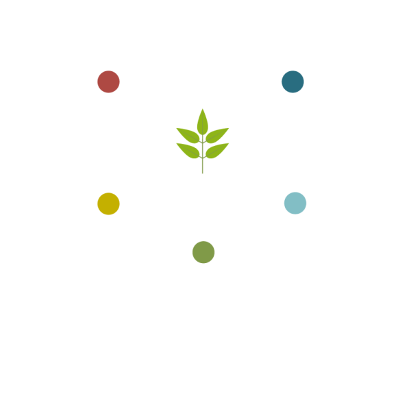 HS-logo-negativo.png