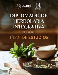 portada-plan-dhi