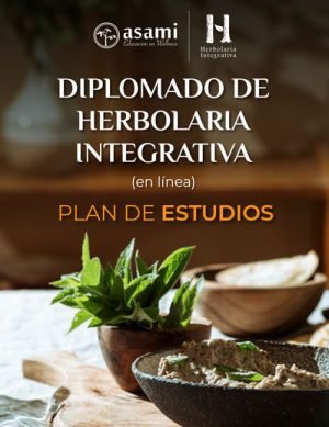 portada-plan-dhi